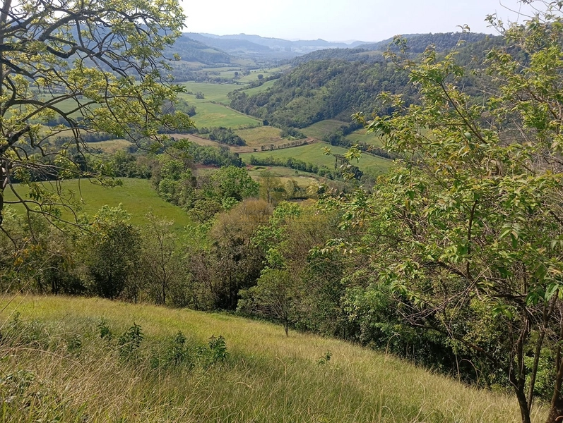 CHÁCARA À VENDA – LINHA NOVA 🌿🏡: 19ª foto da galeria de imagens do imóvel