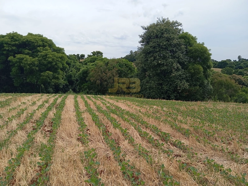 EXCELENTE CHÁCARA À VENDA: 19ª foto da galeria de imagens do imóvel