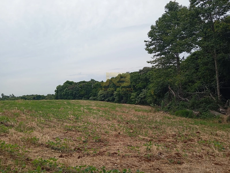 EXCELENTE CHÁCARA À VENDA: 12ª foto da galeria de imagens do imóvel