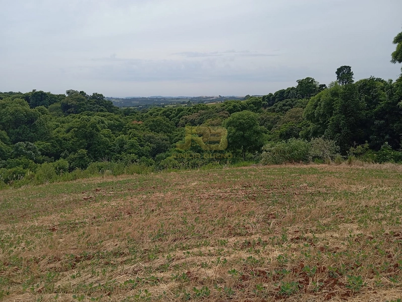 EXCELENTE CHÁCARA À VENDA: 24ª foto da galeria de imagens do imóvel