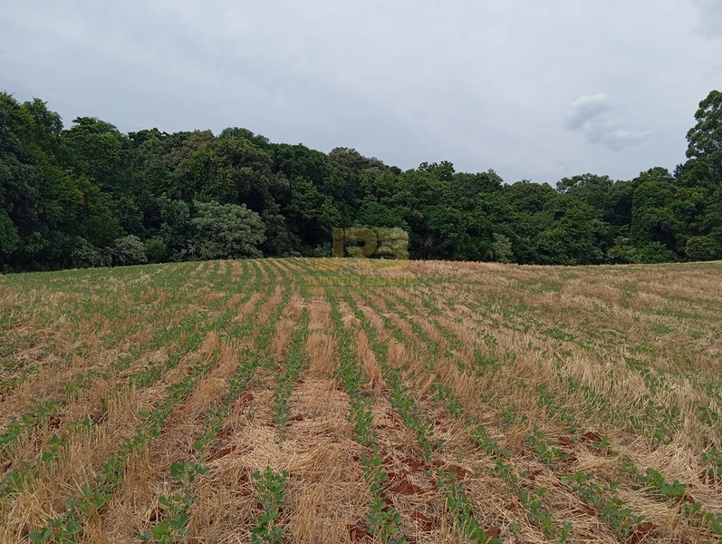 EXCELENTE CHÁCARA À VENDA: 16ª foto da galeria de imagens do imóvel