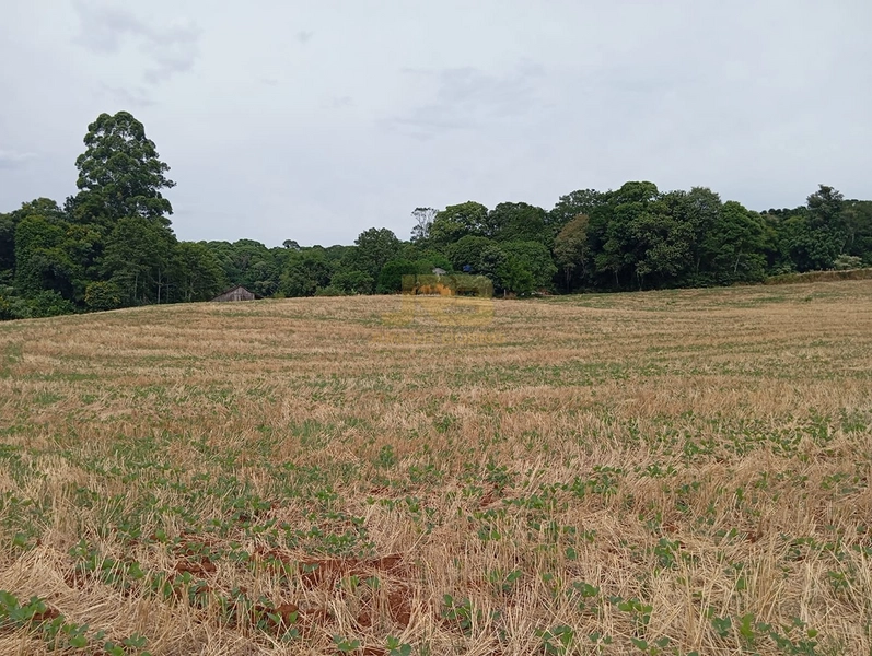 EXCELENTE CHÁCARA À VENDA: 18ª foto da galeria de imagens do imóvel