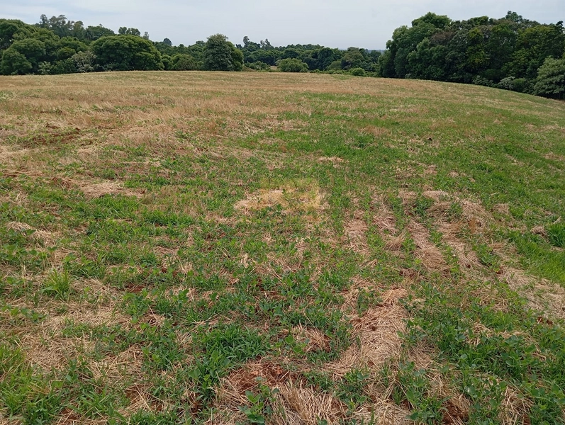 EXCELENTE CHÁCARA À VENDA: 13ª foto da galeria de imagens do imóvel