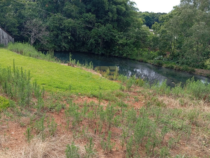 EXCELENTE CHÁCARA À VENDA: 31ª foto da galeria de imagens do imóvel