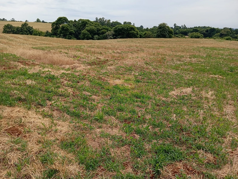 EXCELENTE CHÁCARA À VENDA: 11ª foto da galeria de imagens do imóvel