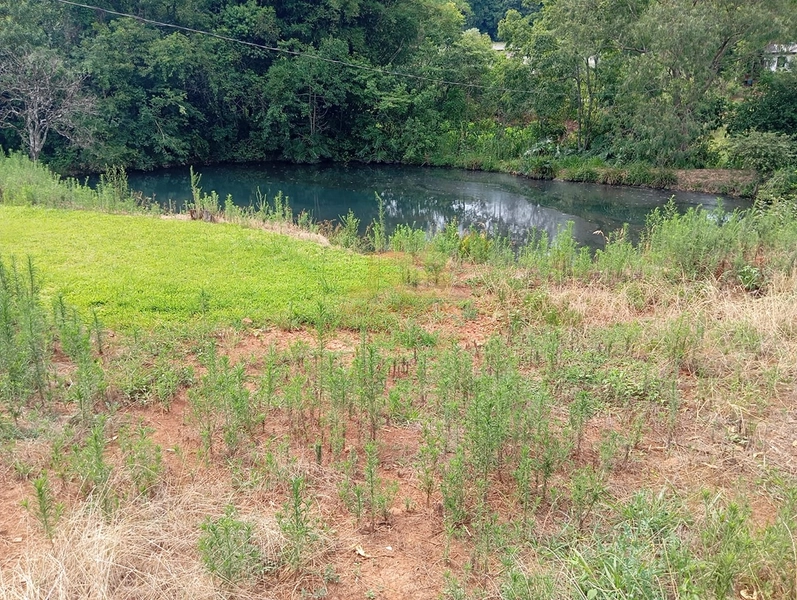 EXCELENTE CHÁCARA À VENDA: 32ª foto da galeria de imagens do imóvel