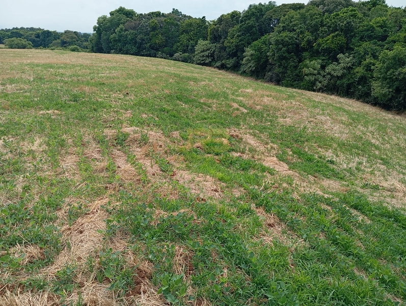 EXCELENTE CHÁCARA À VENDA: 15ª foto da galeria de imagens do imóvel