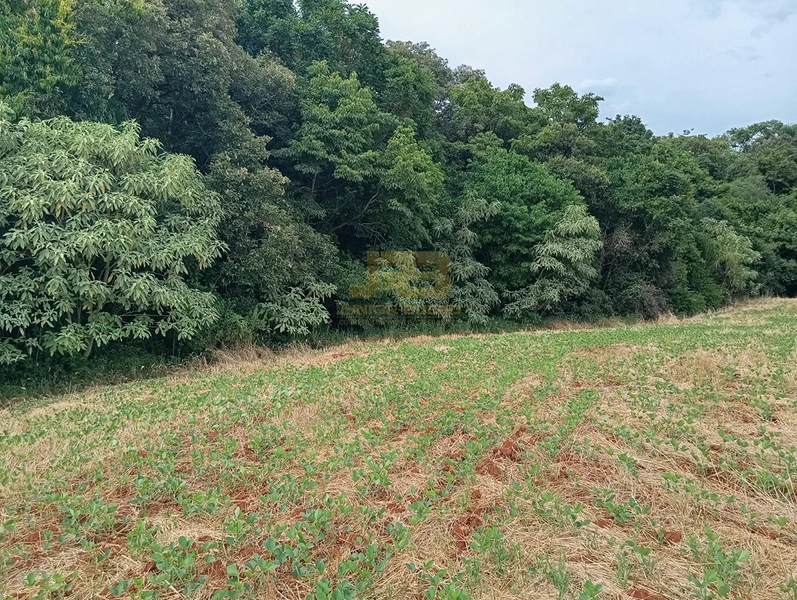 EXCELENTE CHÁCARA À VENDA: 23ª foto da galeria de imagens do imóvel