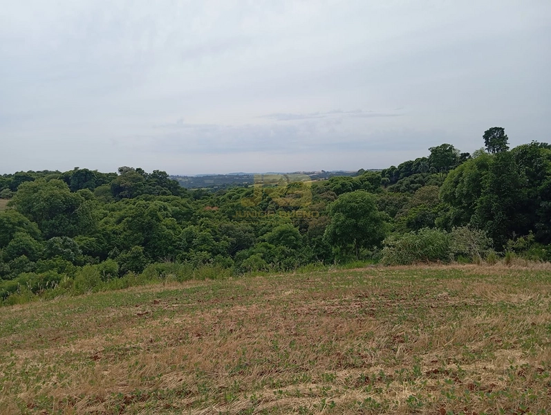 EXCELENTE CHÁCARA À VENDA: 20ª foto da galeria de imagens do imóvel