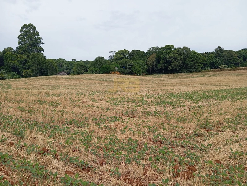 EXCELENTE CHÁCARA À VENDA: 21ª foto da galeria de imagens do imóvel