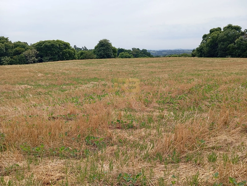 EXCELENTE CHÁCARA À VENDA: 27ª foto da galeria de imagens do imóvel