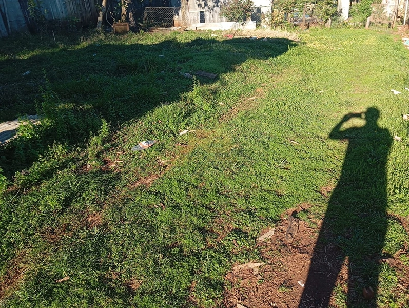 TERRENO NA BR-386: 4ª foto da galeria de imagens do imóvel