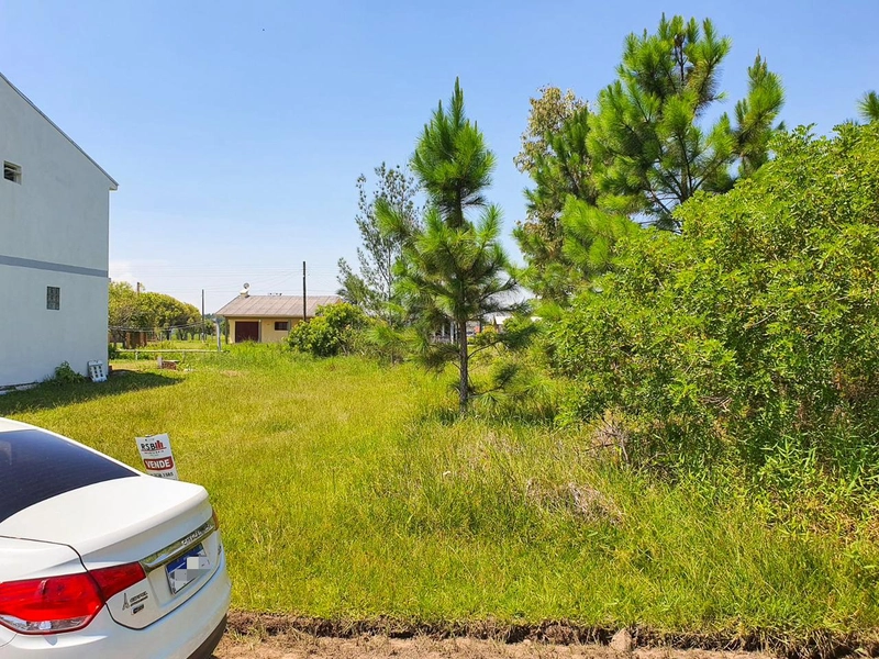 Terreno em Bella Torres: 3ª foto da galeria de imagens do imóvel