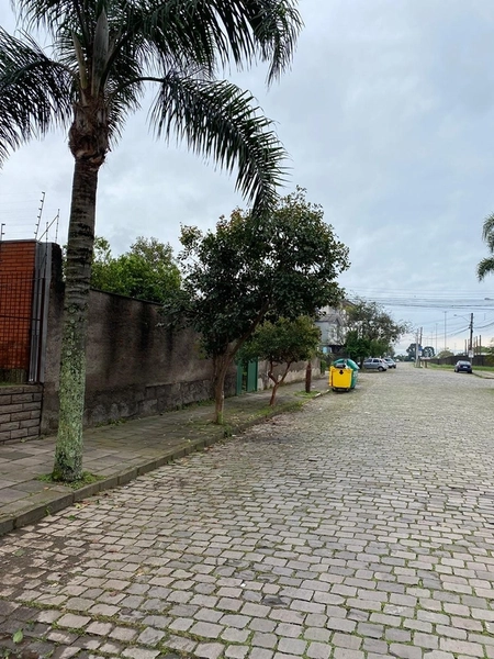 Excelente terreno plano no cinquentenário: 4ª foto da galeria de imagens do imóvel