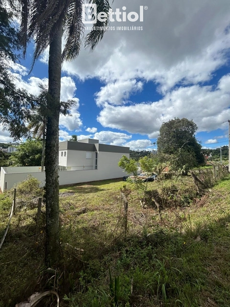 Terreno no Colina Sorriso: 1ª foto da galeria de imagens do imóvel