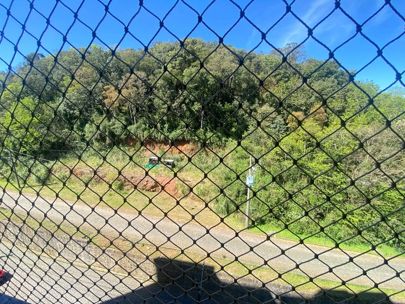 Apartamento 3 quartos no São Luiz: 11ª foto da galeria de imagens do imóvel