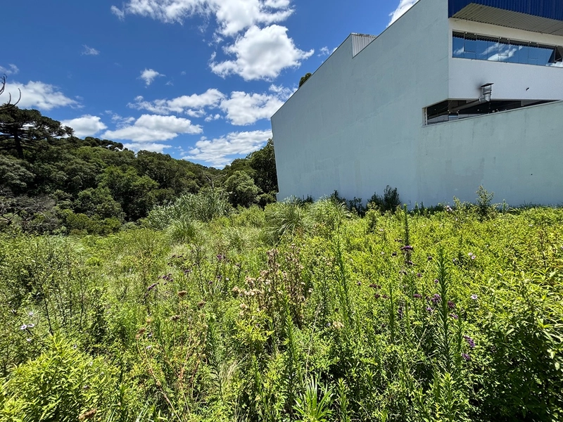 null: 2ª foto da galeria de imagens do imóvel