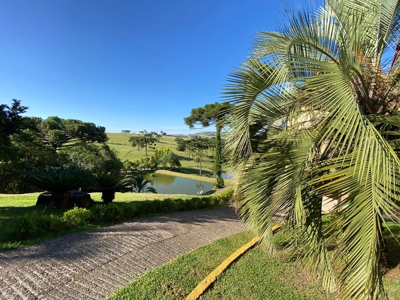 🌅 Espetacular Sítio de 3.4 Hectares com Piscina e Pôr do Sol Definitivo em Vila Seca: 32ª foto da galeria de imagens do imóvel
