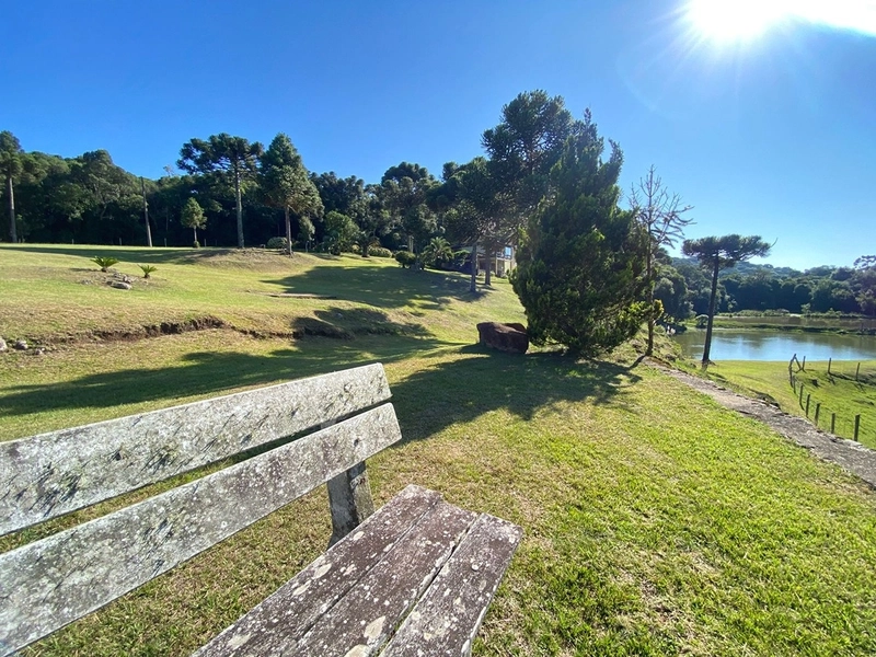 🌅 Espetacular Sítio de 3.4 Hectares com Piscina e Pôr do Sol Definitivo em Vila Seca: 27ª foto da galeria de imagens do imóvel