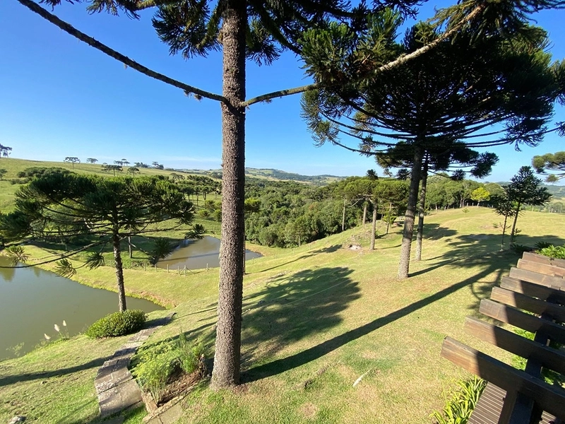 🌅 Espetacular Sítio de 3.4 Hectares com Piscina e Pôr do Sol Definitivo em Vila Seca: 36ª foto da galeria de imagens do imóvel