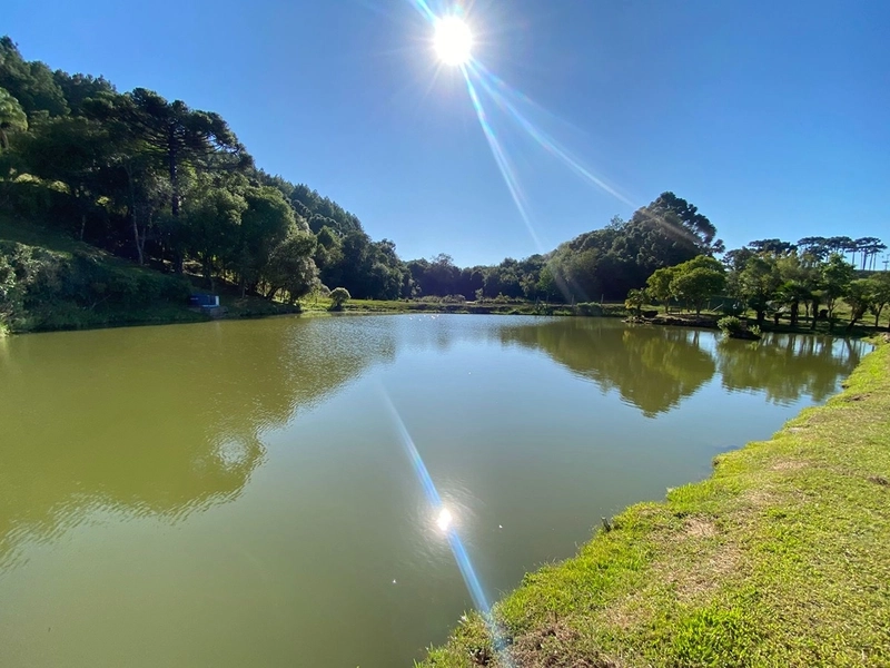🌅 Espetacular Sítio de 3.4 Hectares com Piscina e Pôr do Sol Definitivo em Vila Seca: 39ª foto da galeria de imagens do imóvel