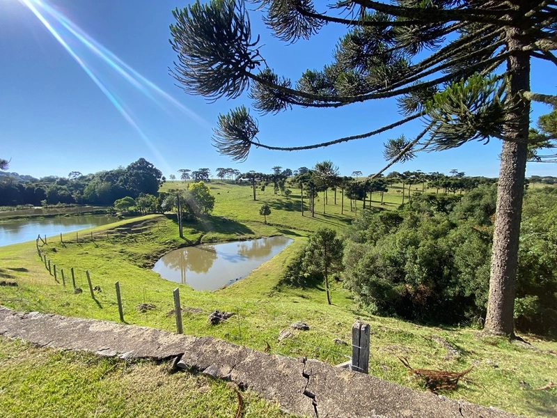 🌅 Espetacular Sítio de 3.4 Hectares com Piscina e Pôr do Sol Definitivo em Vila Seca: 33ª foto da galeria de imagens do imóvel