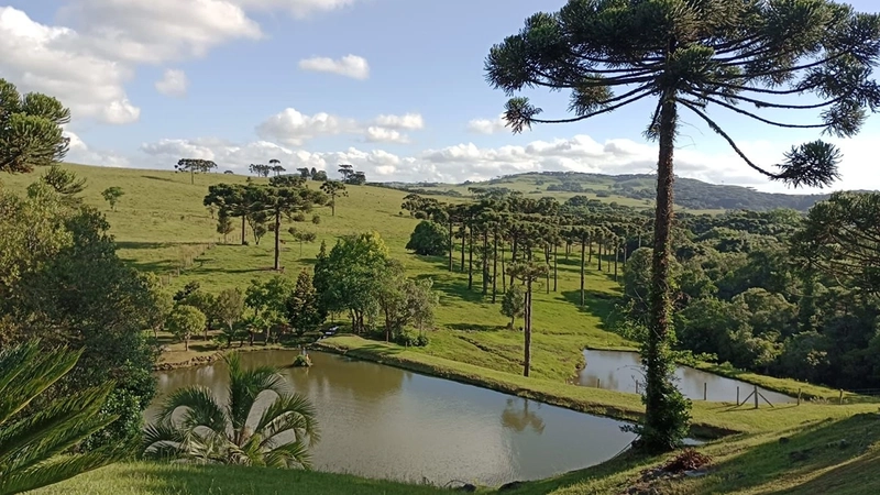 🌅 Espetacular Sítio de 3.4 Hectares com Piscina e Pôr do Sol Definitivo em Vila Seca: 25ª foto da galeria de imagens do imóvel