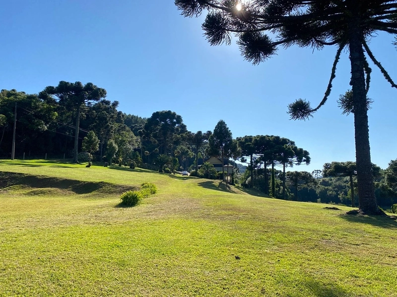 🌅 Espetacular Sítio de 3.4 Hectares com Piscina e Pôr do Sol Definitivo em Vila Seca: 31ª foto da galeria de imagens do imóvel
