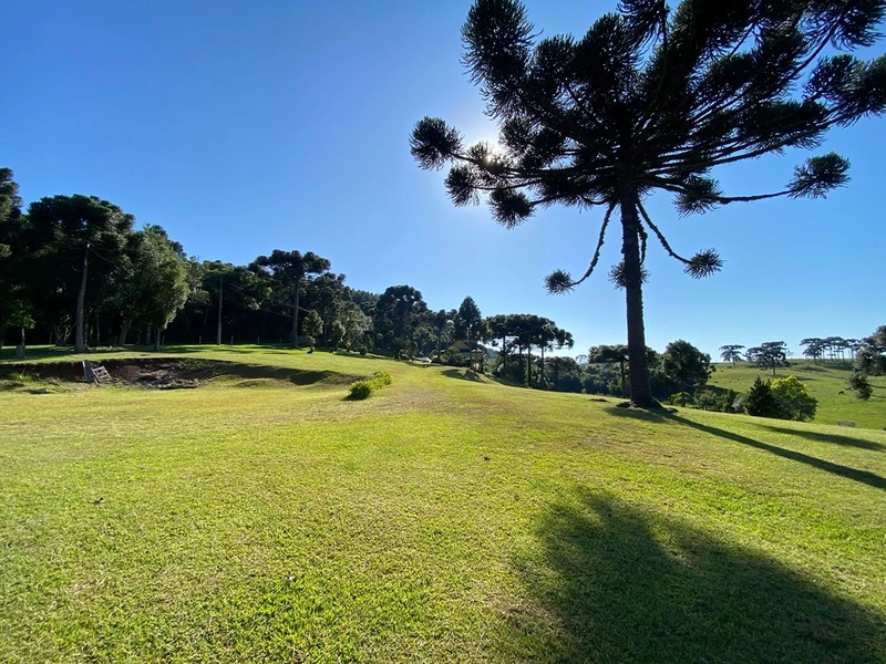 🌅 Espetacular Sítio de 3.4 Hectares com Piscina e Pôr do Sol Definitivo em Vila Seca: 22ª foto da galeria de imagens do imóvel