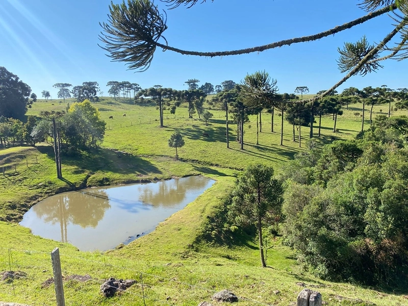 🌅 Espetacular Sítio de 3.4 Hectares com Piscina e Pôr do Sol Definitivo em Vila Seca: 24ª foto da galeria de imagens do imóvel