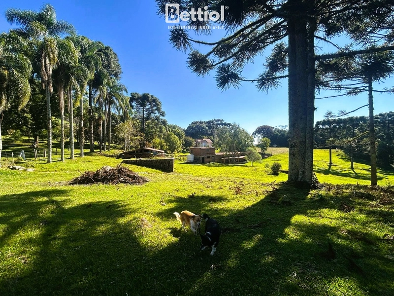 Chácara em Vila Seca: 2ª foto da galeria de imagens do imóvel