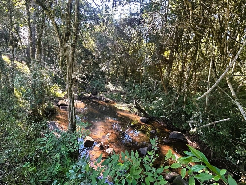 Chácara em Vila Seca: 16ª foto da galeria de imagens do imóvel