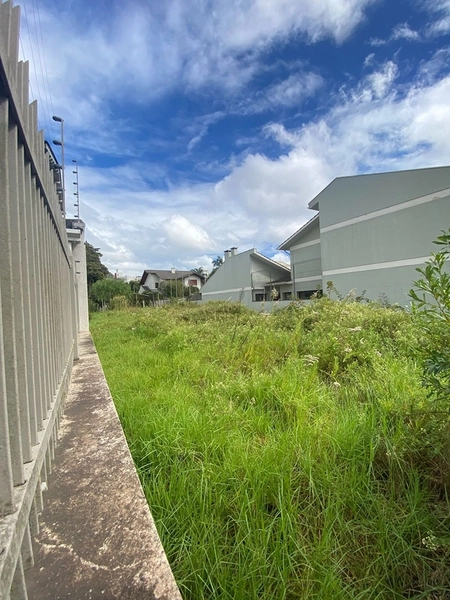 Terreno de Alto Padrão com 408m² em Rua Sem Saída no Bairro Santa Catarina: 3ª foto da galeria de imagens do imóvel