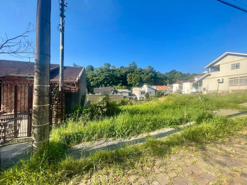 Terreno no Vinhedos: 1ª foto da galeria de imagens do imóvel