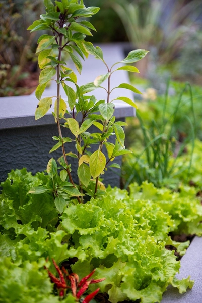 Apartamento Completo com Terraço, Lareira e Skybar – Ideal para Morar ou Investir: 20ª foto da galeria de imagens do imóvel