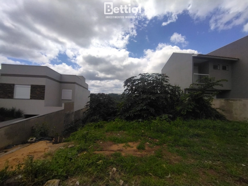 Terreno no Salgado Filho: 1ª foto da galeria de imagens do imóvel