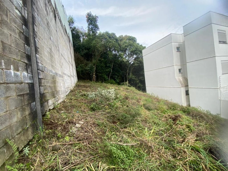Terreno no São Luiz: 3ª foto da galeria de imagens do imóvel