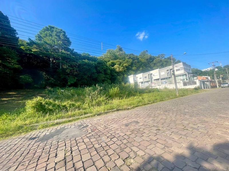 Terreno no Vinhedos: 1ª foto da galeria de imagens do imóvel