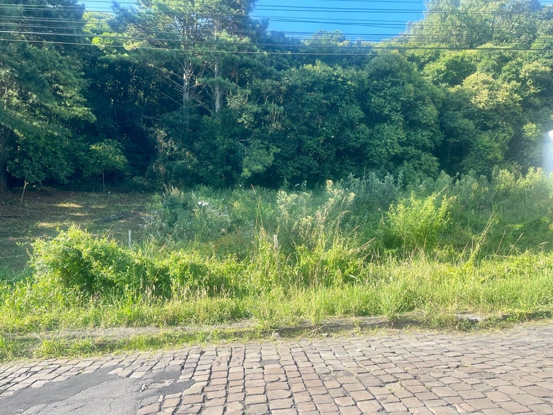 Terreno no Vinhedos: 2ª foto da galeria de imagens do imóvel