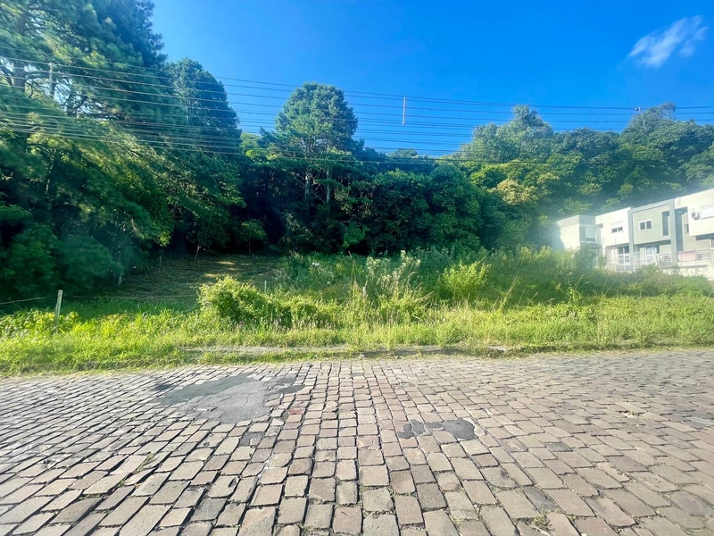 Terreno no Vinhedos: 3ª foto da galeria de imagens do imóvel
