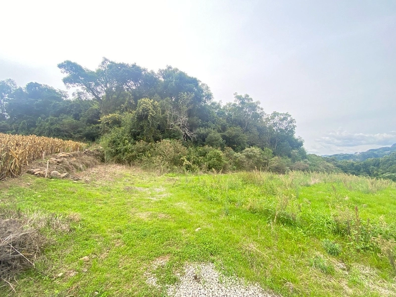 🍇 Área de Terras com 7,5 Hectares na Capela Santa Libera (Flores da Cunha) – Ideal para Cultivo ou Turismo: 2ª foto da galeria de imagens do imóvel