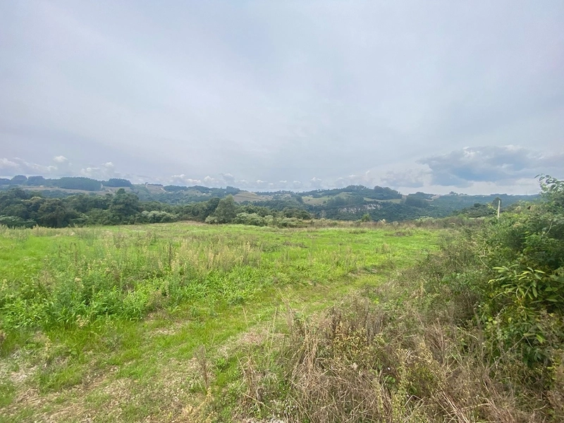 🍇 Área de Terras com 7,5 Hectares na Capela Santa Libera (Flores da Cunha) – Ideal para Cultivo ou Turismo: 4ª foto da galeria de imagens do imóvel