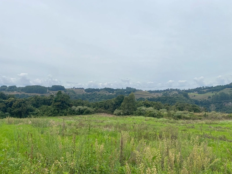 🍇 Área de Terras com 7,5 Hectares na Capela Santa Libera (Flores da Cunha) – Ideal para Cultivo ou Turismo: 3ª foto da galeria de imagens do imóvel