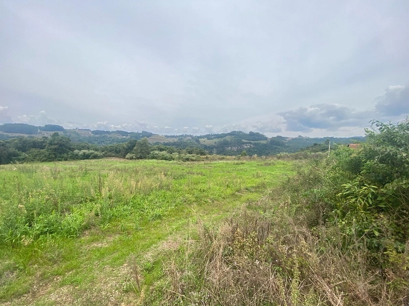 🍇 Área de Terras com 7,5 Hectares na Capela Santa Libera (Flores da Cunha) – Ideal para Cultivo ou Turismo: 1ª foto da galeria de imagens do imóvel