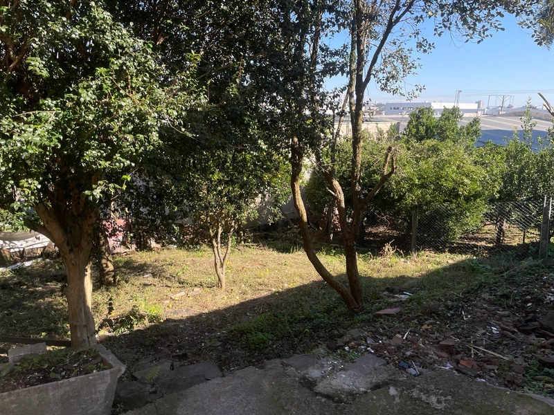 Terreno no São José: 3ª foto da galeria de imagens do imóvel