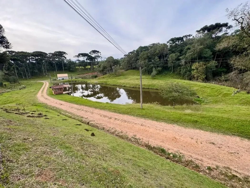 null: 26ª foto da galeria de imagens do imóvel