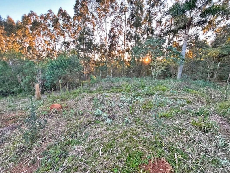 null: 7ª foto da galeria de imagens do imóvel