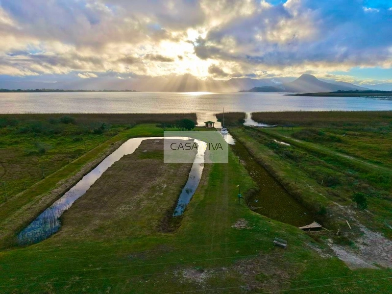 SÍTIO À VENDA À BEIRA DA LAGOA DO PALMITAL – OSÓRIO/RS: 51ª foto da galeria de imagens do imóvel