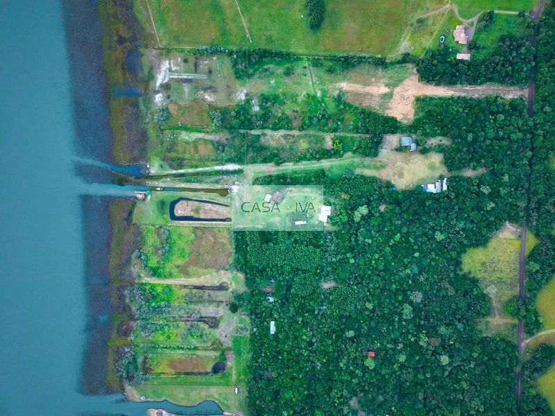 SÍTIO À VENDA À BEIRA DA LAGOA DO PALMITAL – OSÓRIO/RS: 5ª foto da galeria de imagens do imóvel