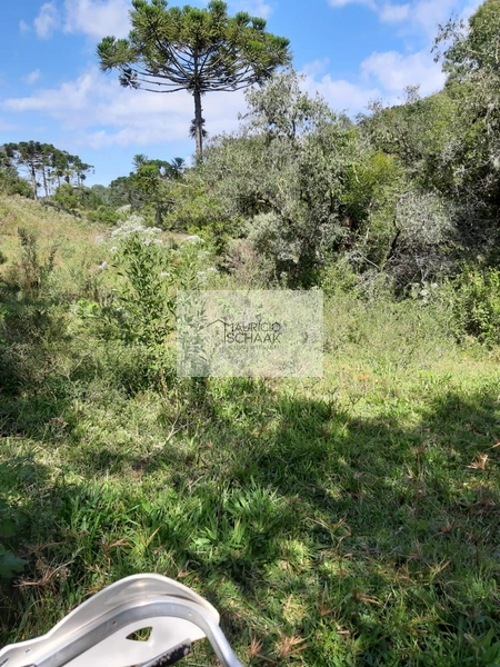 Área de terra em Caxias do Sul: 1ª foto da galeria de imagens do imóvel